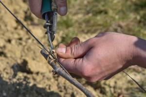 Alexandre LESCURE - ALEXANDRE LESCURE PHOTOGRAPHE